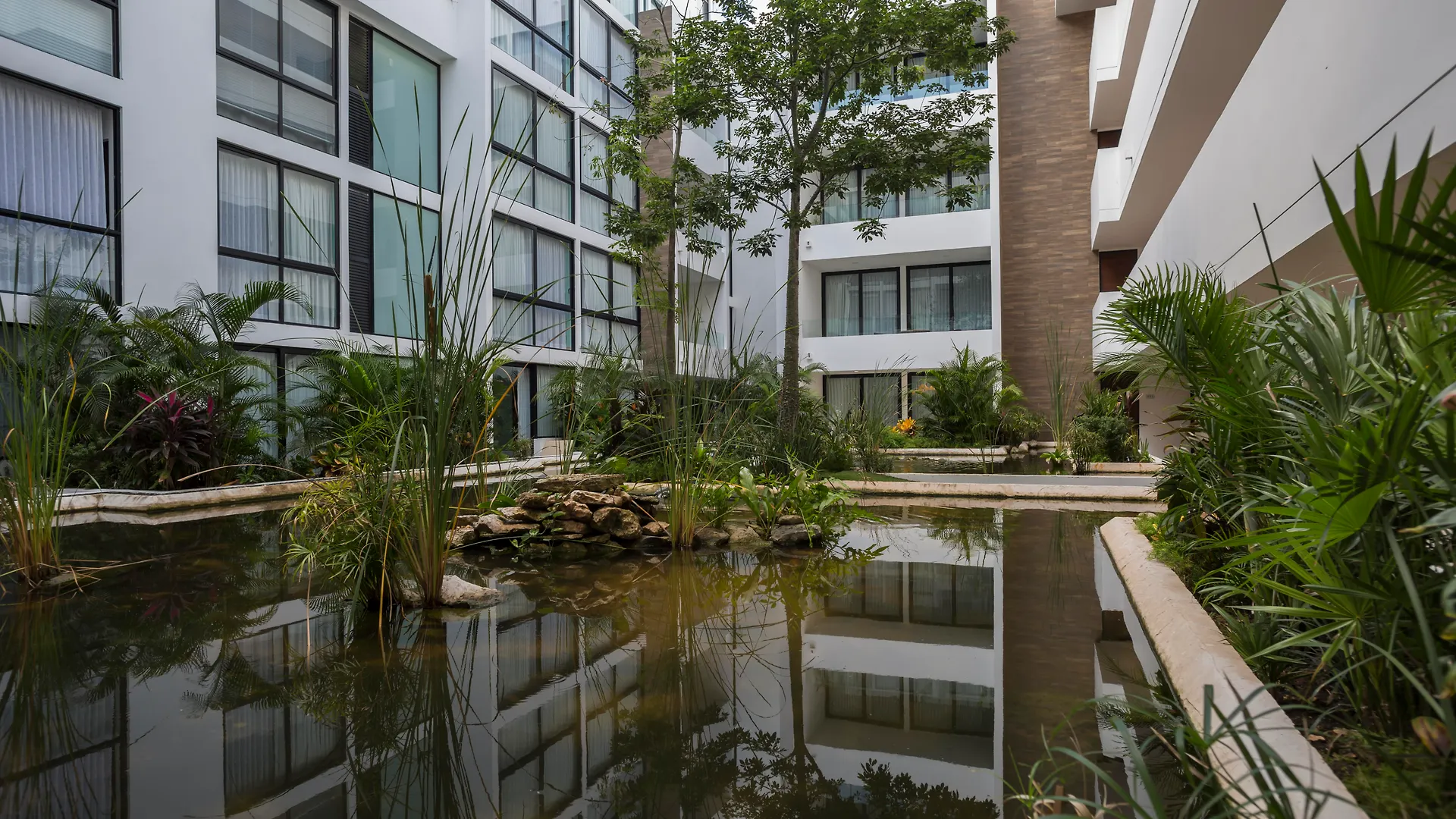 פלאייה דל כרמן Anah Suites 4*, פלאייה דל כרמן מקסיקו
