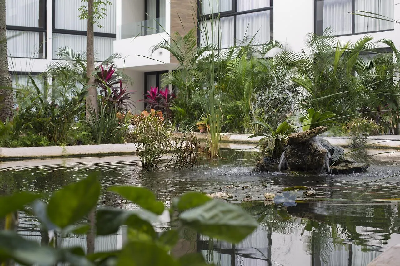 פלאייה דל כרמן Anah Suites מלון דירות פלאייה דל כרמן